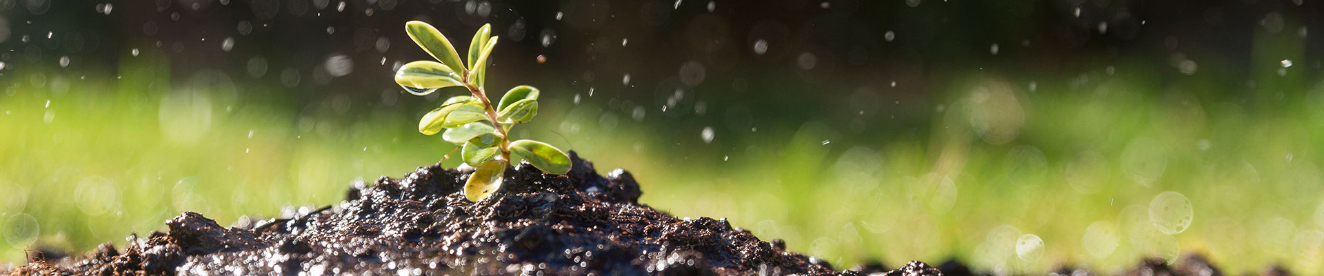 Toprak Hizmetlerimiz