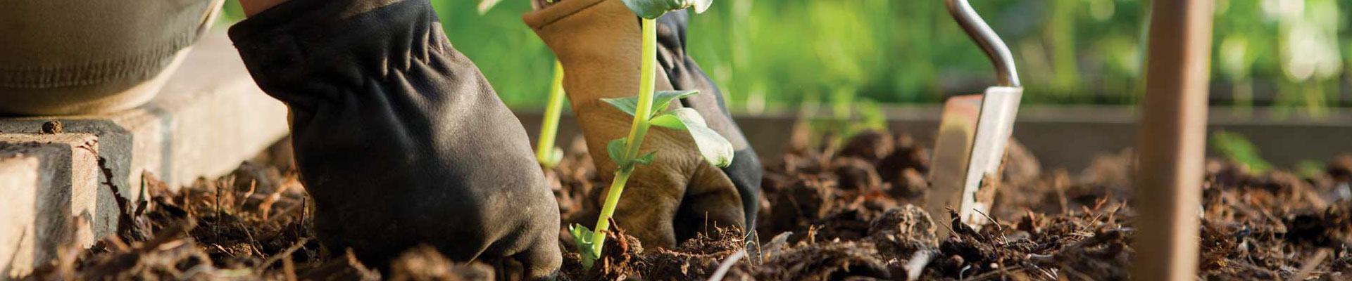 Kar���m Toprak